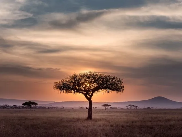 Africa is a land of mystery.