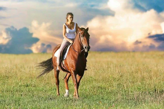 Horse riding is one of the most enjoyable hobbies one can have!