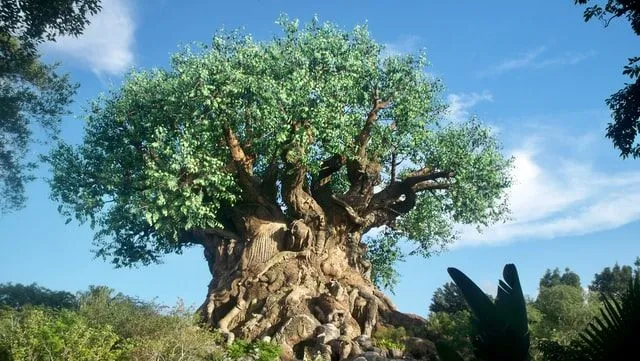 'The Tree of Life' quotes guide one and all.
