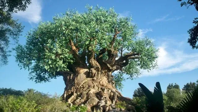 'The Tree of Life' quotes guide one and all.