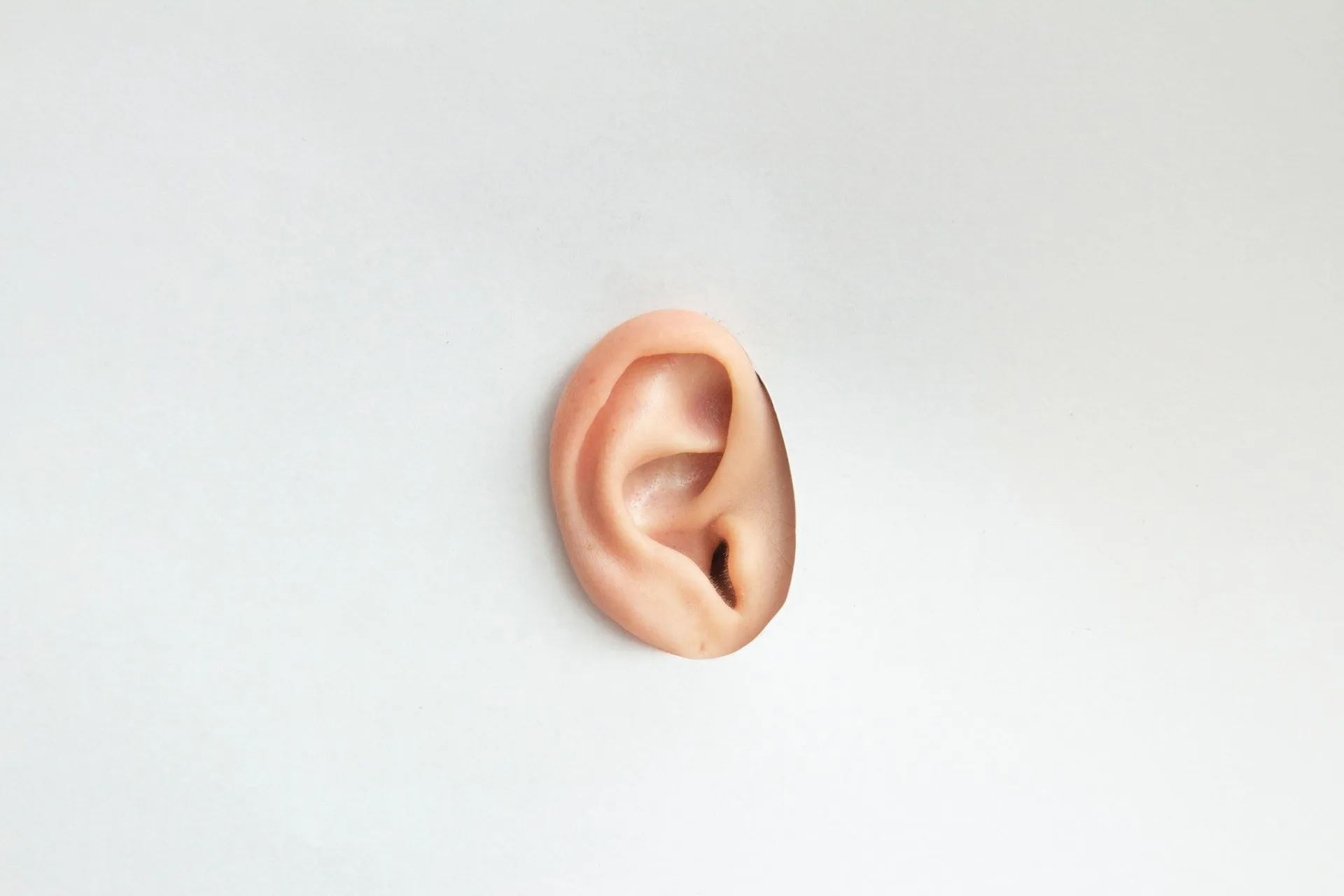 The ear is where the tiniest bone of the human body is found.