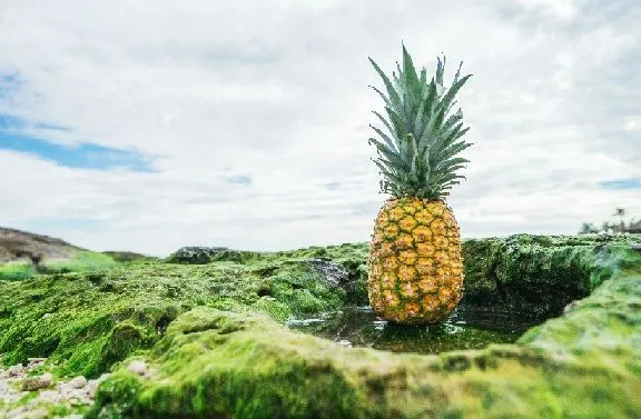 'Psych's friend is the pineapple.