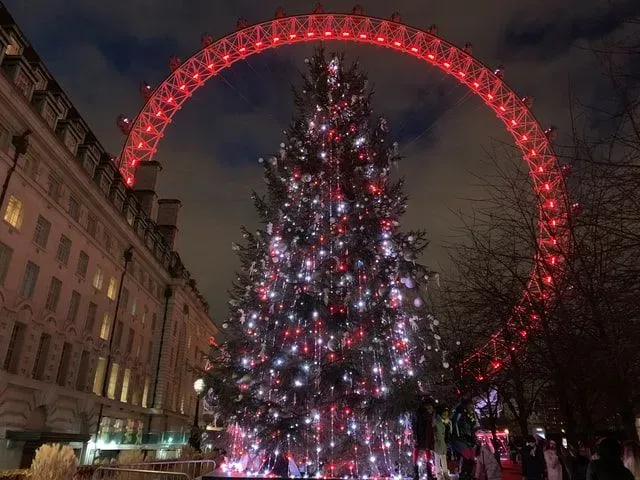 A large Christmas tree is set up in London for Christmas cheer!
