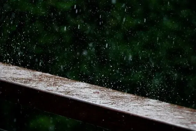 The smell of earth when it rains is called petrichor.