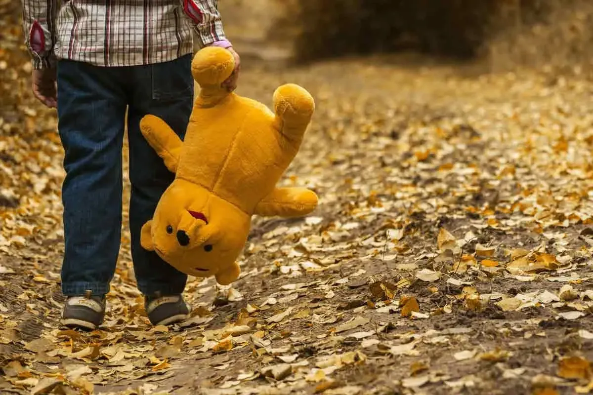 'Winnie The Pooh'  quotes give important lessons about life, friendship, and love.