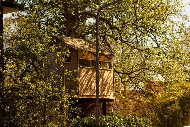 Cabins can be made a permanent home in the forests.