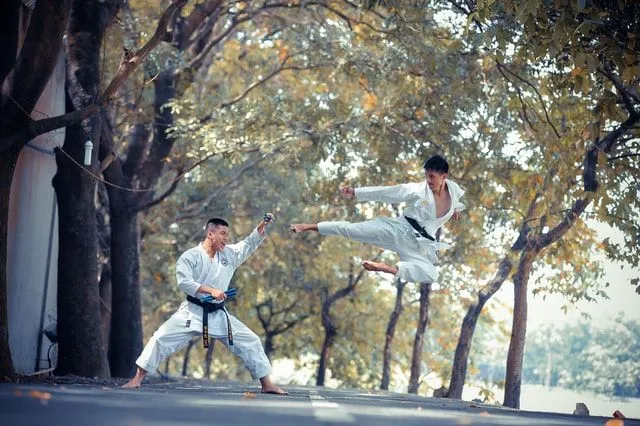 35 Karate Quotes For All The Martial Arts Fans | Kidadl