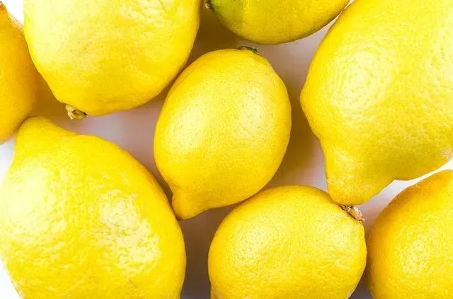 A lemon tree with fresh lemons gives you that refreshing feeling.