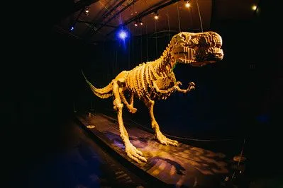 This T-Rex model was one of many creations at the touring Art of the Brick exhibition.
