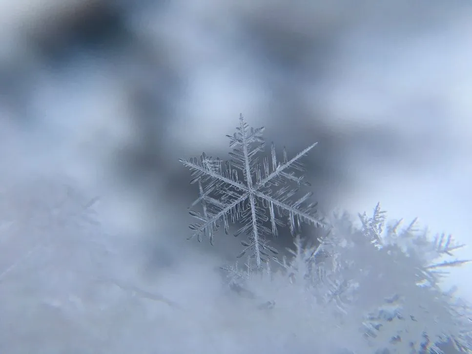 85 Best Snowflake Quotes That Are Truly Unique | Kidadl