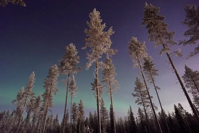 The beautiful fall phenomenon of Aurora Borealis!