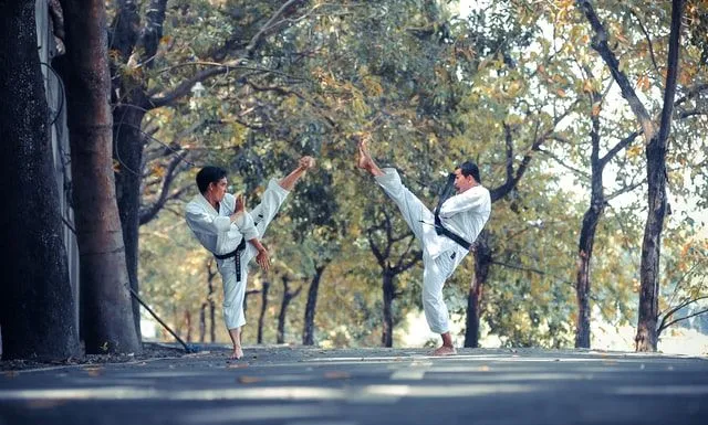 Here are the taekwondo quotes and sayings to inspire people who practice in martial arts