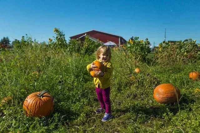 Visit a pumpkin patch for an adorable October birthday activity.