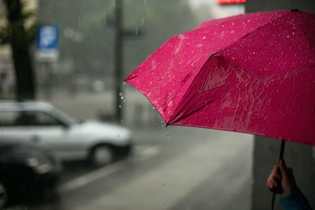 250 Best Rain Quotes To Help You Wait For The Rainbow | Kidadl