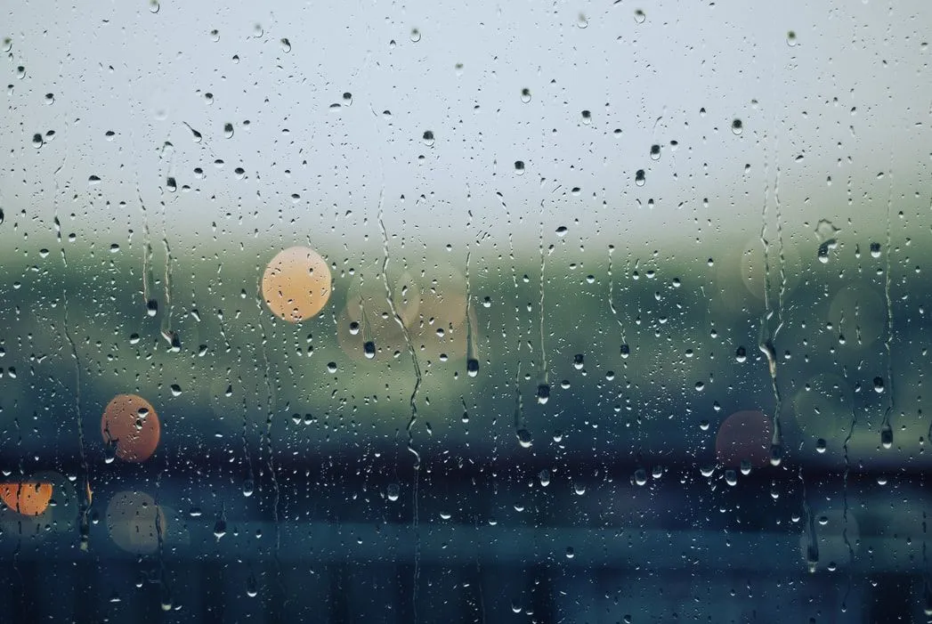 100 Best Rainy Day Quotes To Cheer You Up | Kidadl
