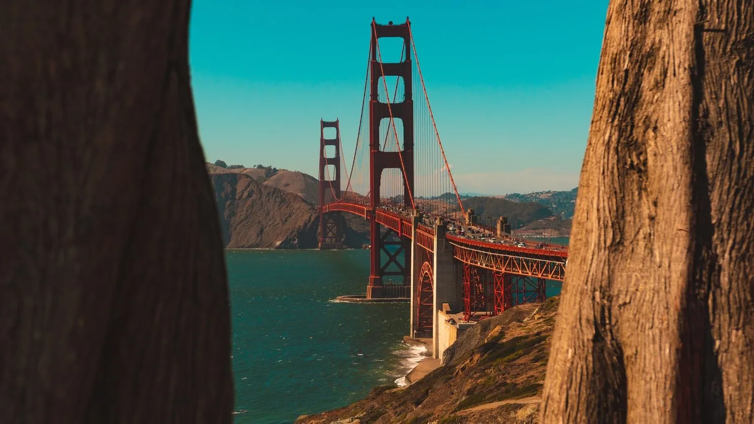 80 Best San Francisco Quotes About The Golden Gate City