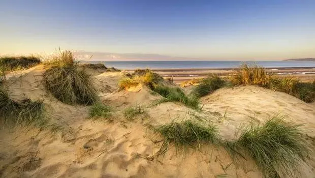 The grassy sand dunes at Camber Sands, with a blue sky in the background.