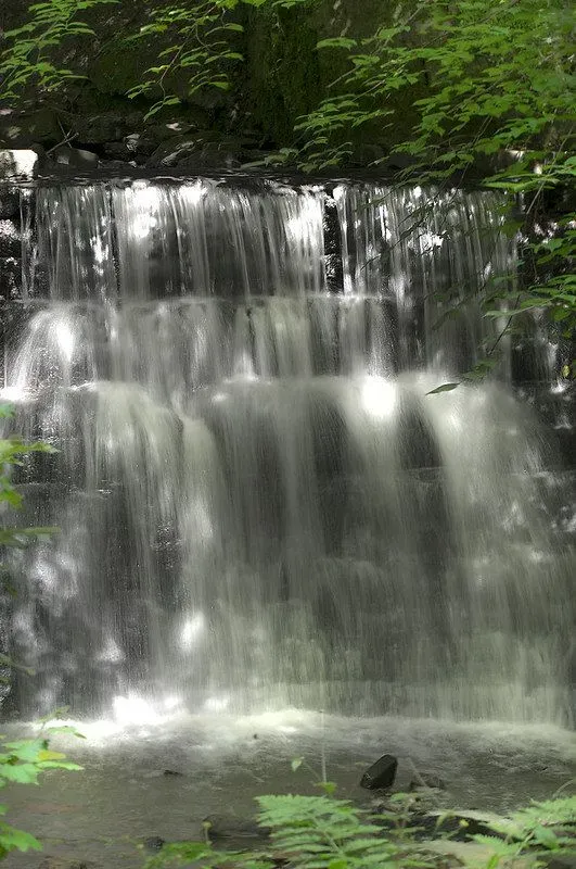 Pittencrieff Park waterfall.