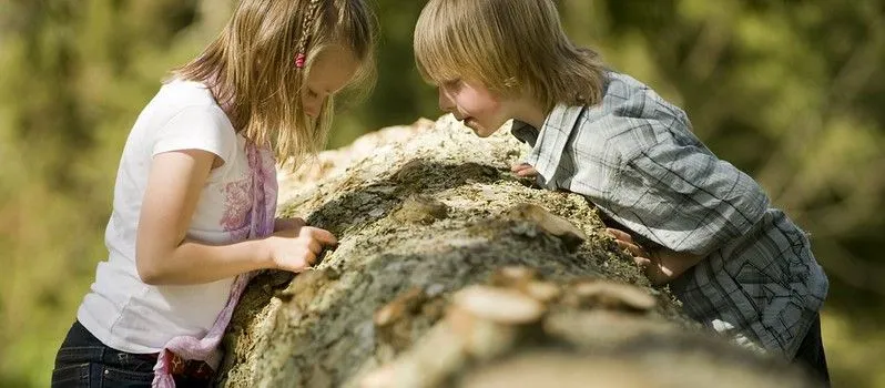 Two kids looking at a large tree tunk at Ashdown House parkland.