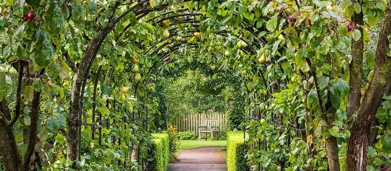 Barnsdale Gardens Apple Arch and pathway.