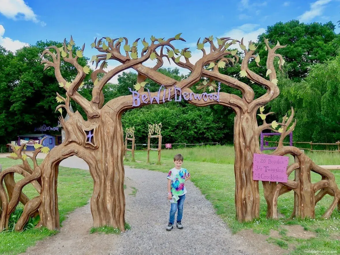Child in front of the entrance at BeWILDerwood, made up to two trees coming together.