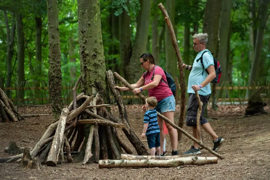 A family building a den from wooden sticks in the forest at BeWILDerwood.