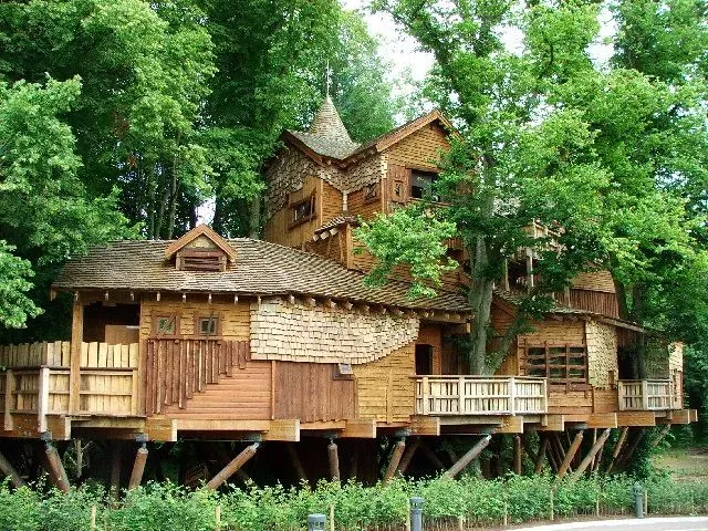 The treehouse high up in the trees.