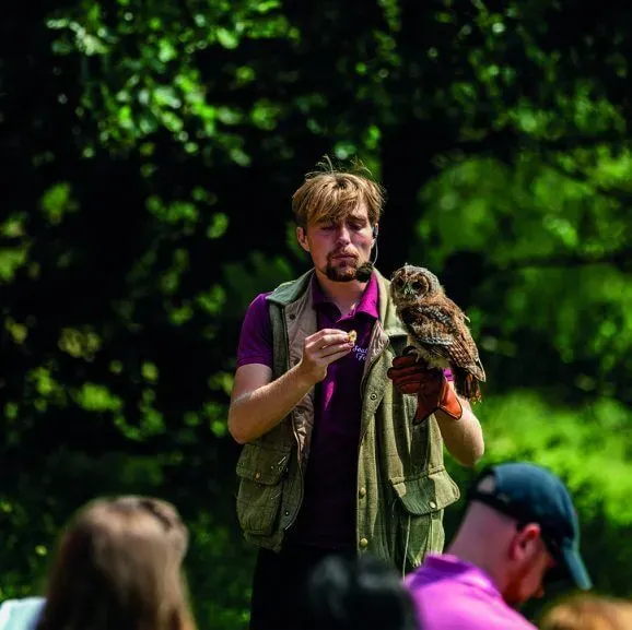 Charlie, the resident falconer, giving a demonstration.