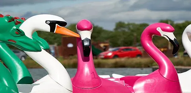 Swan pedalo boats at Bosworth Water Park.