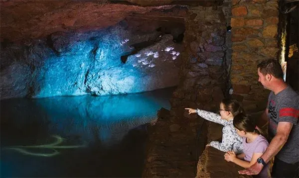 The Skeleton Pool teaches about the animals that lived in the caves.