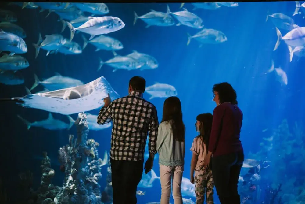 A family looking to a huge fish tank at The Deep in Hull.