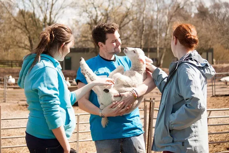 Three volunteers at Wetheriggs Zoo & Animal Sanctuary, with the man in the middle holding a baby sheep.