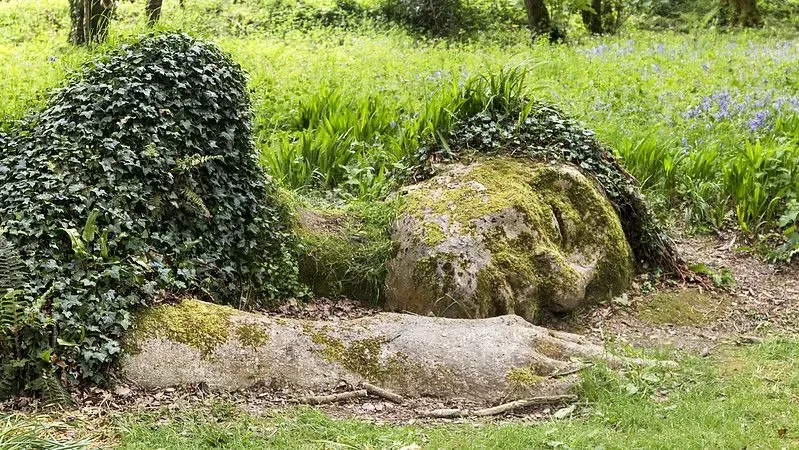 Lost Gardens of Heligan laying statue growing out the ground, leaves on it.