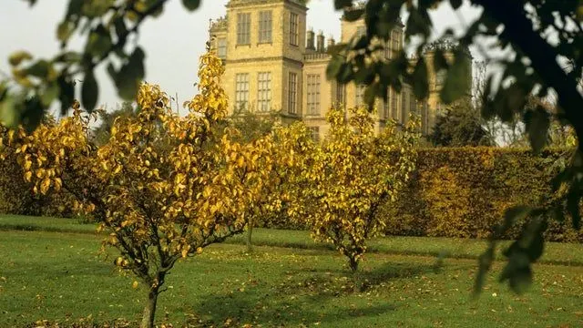 The Hardwick Hall orchard with Hardwick Hall behind.