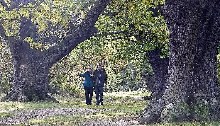 Couple out for walk in Epping Forest.