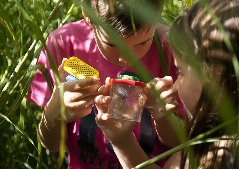 Children playing in tall grass with minibeasts in containers.