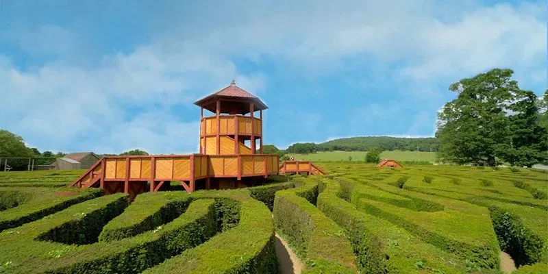 The grand Longleat green maze with redbrick house in the background set against a blue sky.