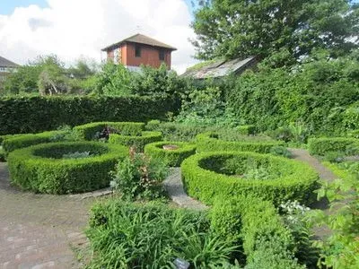 Herb garden.