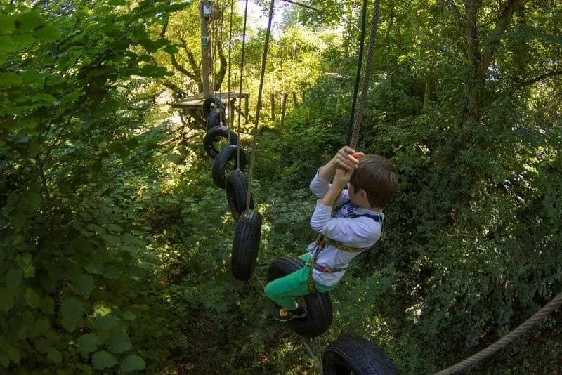 A child on the the Treetop Challenge, a high ropes obstacle course at Howletts Wild Animal Park.