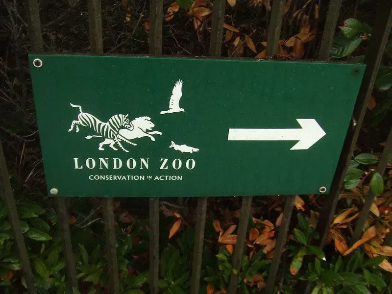 Sign pointing towards London Zoo.