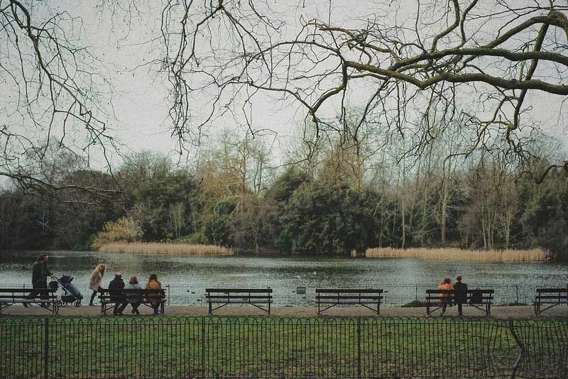 A row of benches facing the water at Battersea Park on a cloudy day.