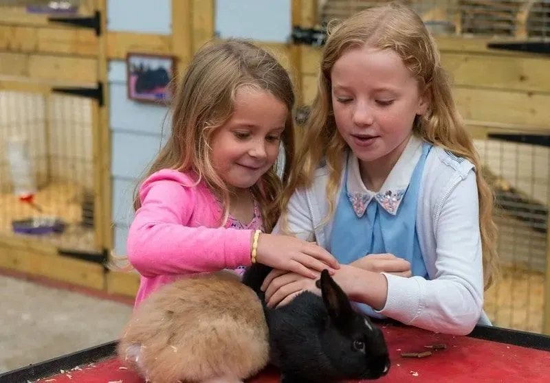 Two young girls petting rabbits at Mead Open Farm.