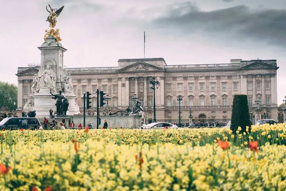 View of Buckingham Palace with daffodil and poppies in foreground.