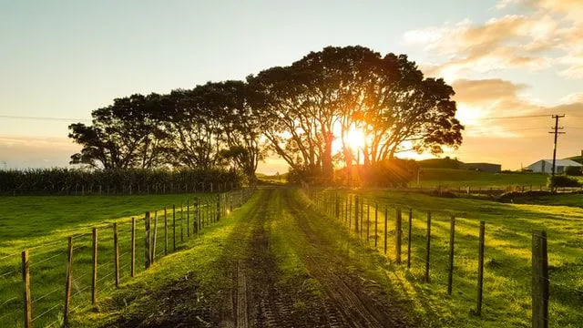 Men and women from the countryside have their own charm.