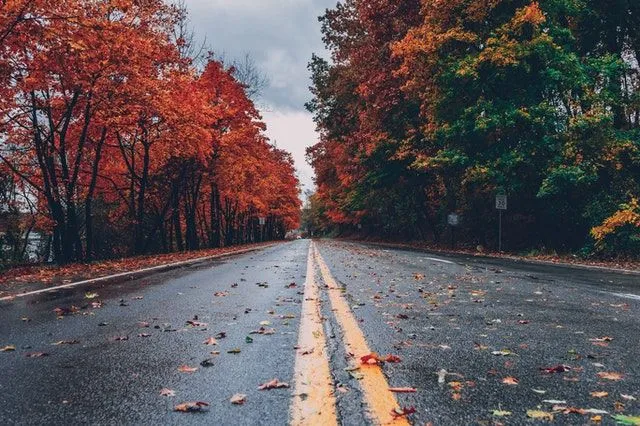 Colors of autumn 94 instagram