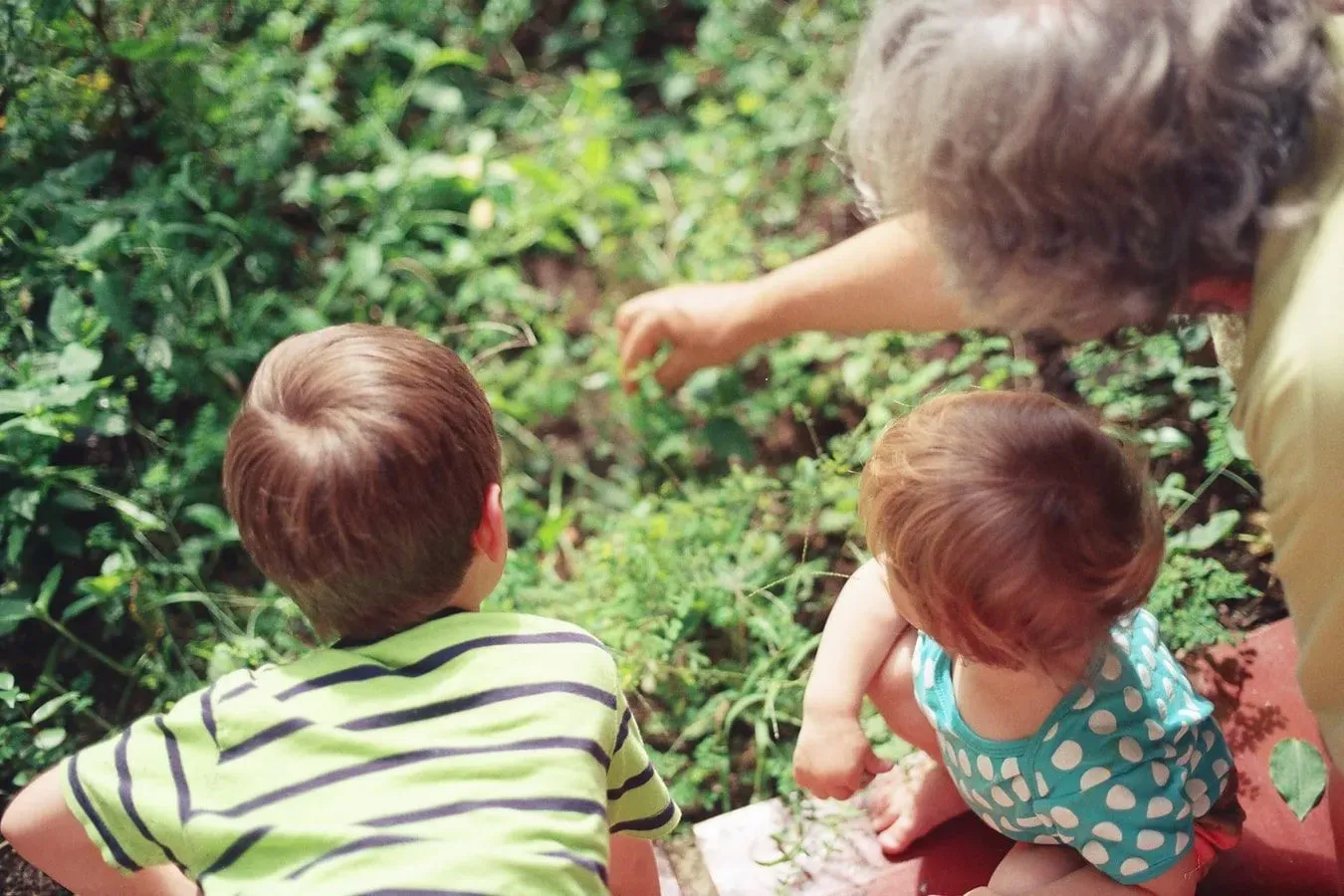 It's a good idea to keep grandparents involved with activities.