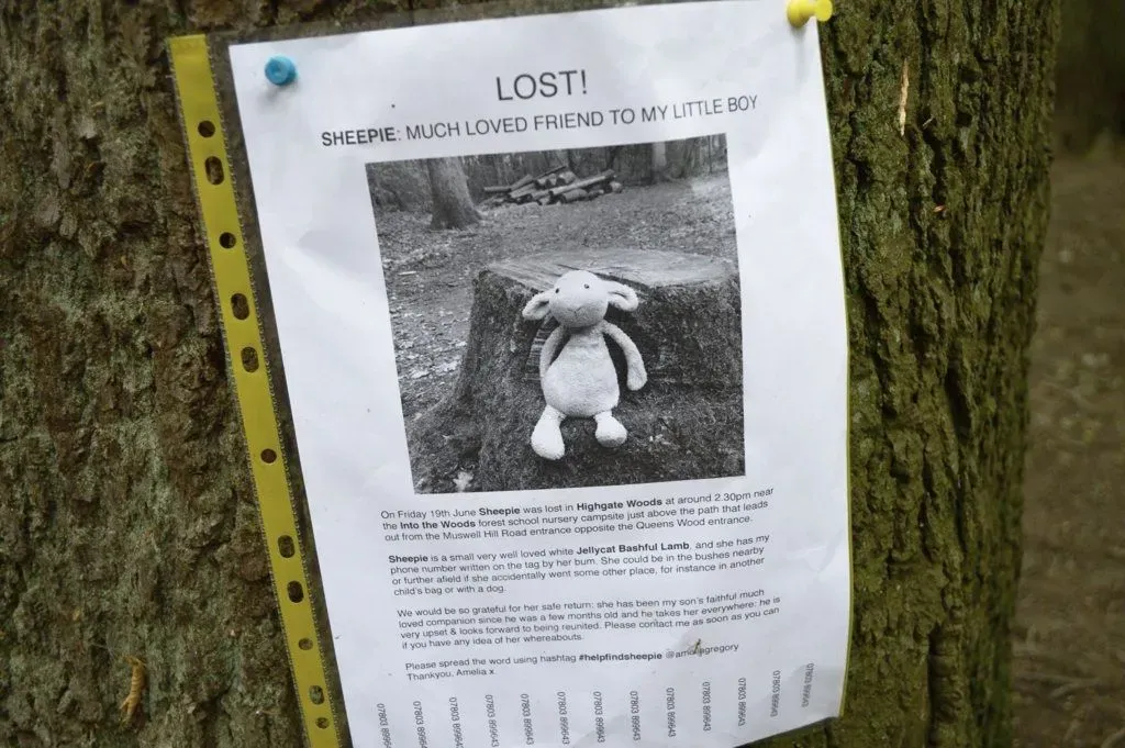Parents go to great lengths to find their children's missing toys.