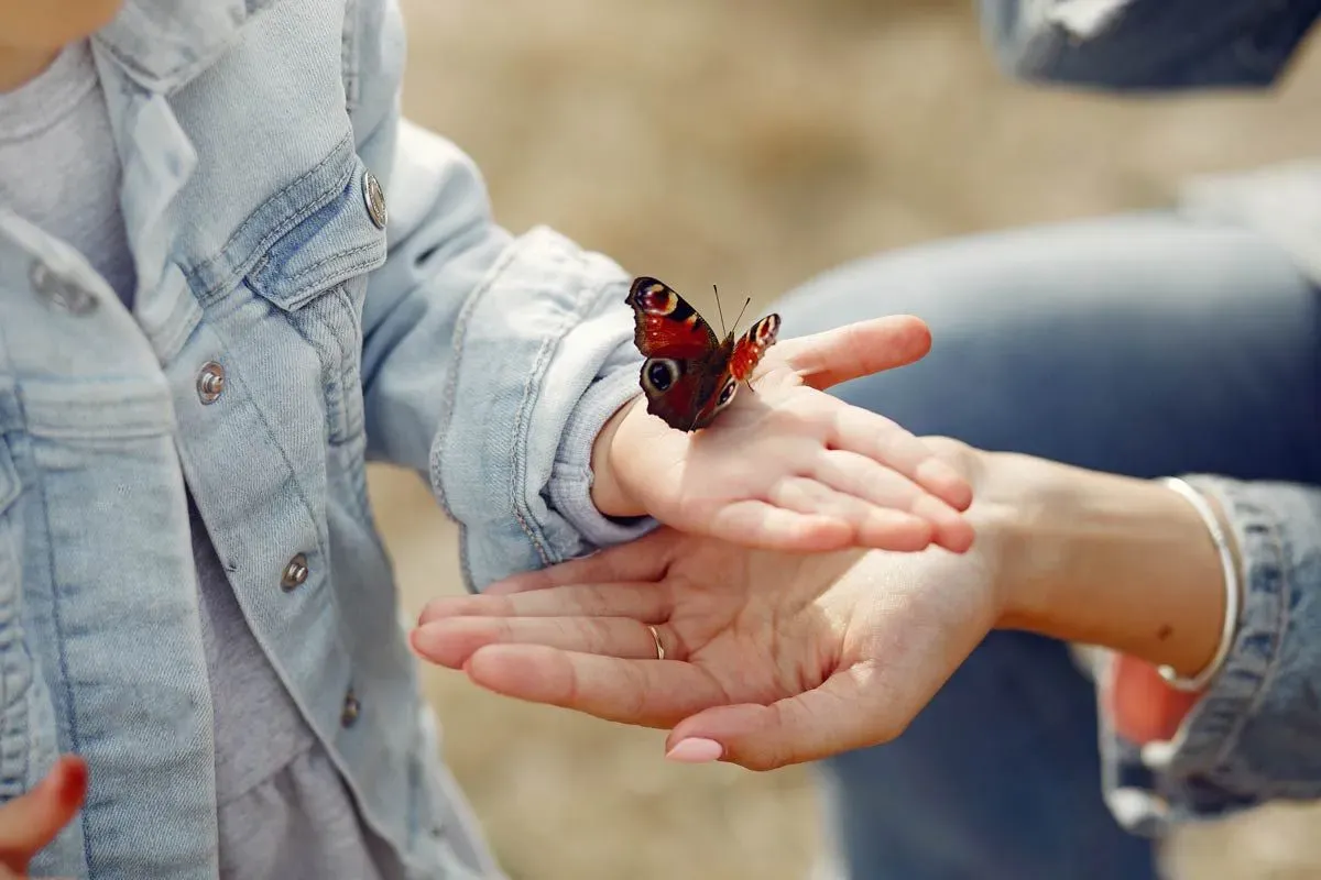 Butterfly lands on child's outstretched palm