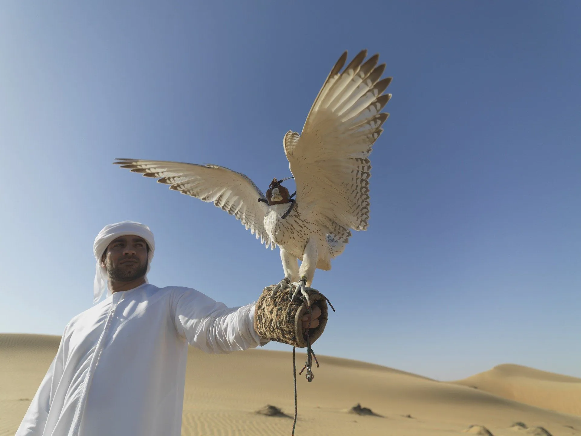 Arabian Desert facts are extremely interesting for students.