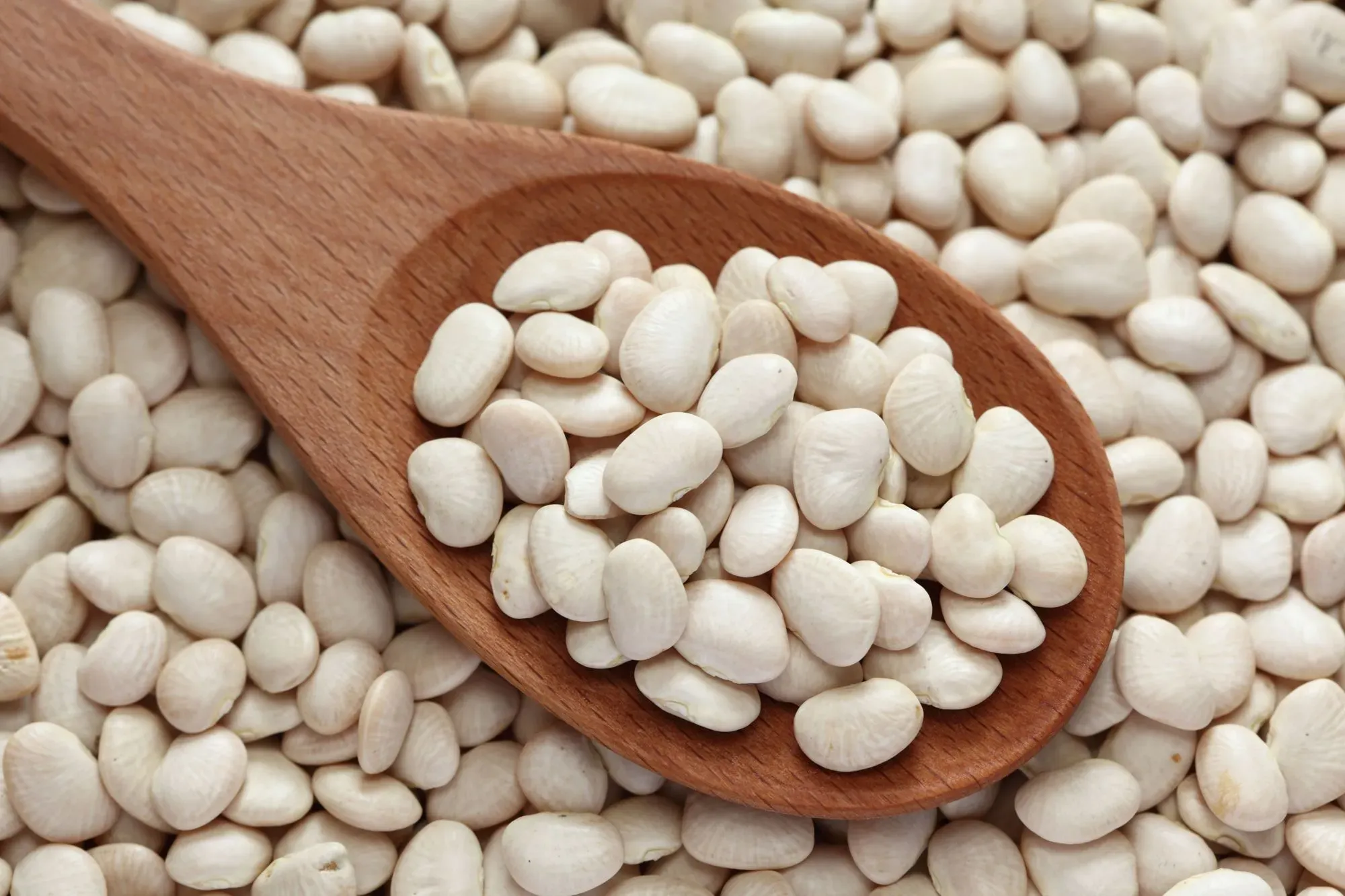 One lima bean fact is that these beans are also known as butter beans.